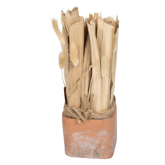 Fox Tail Dried Grass Bouquet in Terracotta Pot